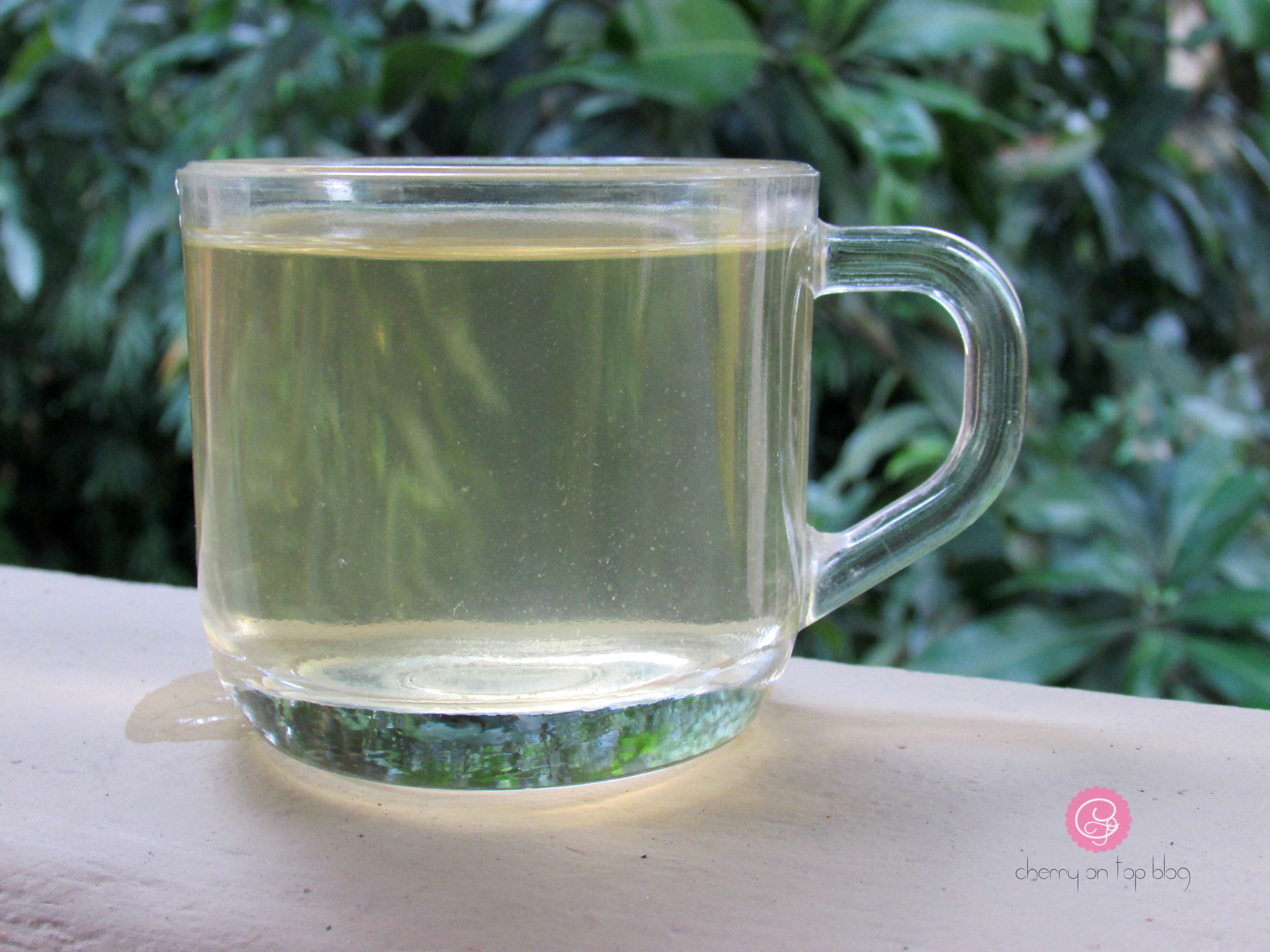 Four Fountains Labs 6X Green Tea Review| Cherry On Top Blog