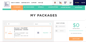How to Get US Products Shipped to India | My Mall Box Review | Cherry On Top
