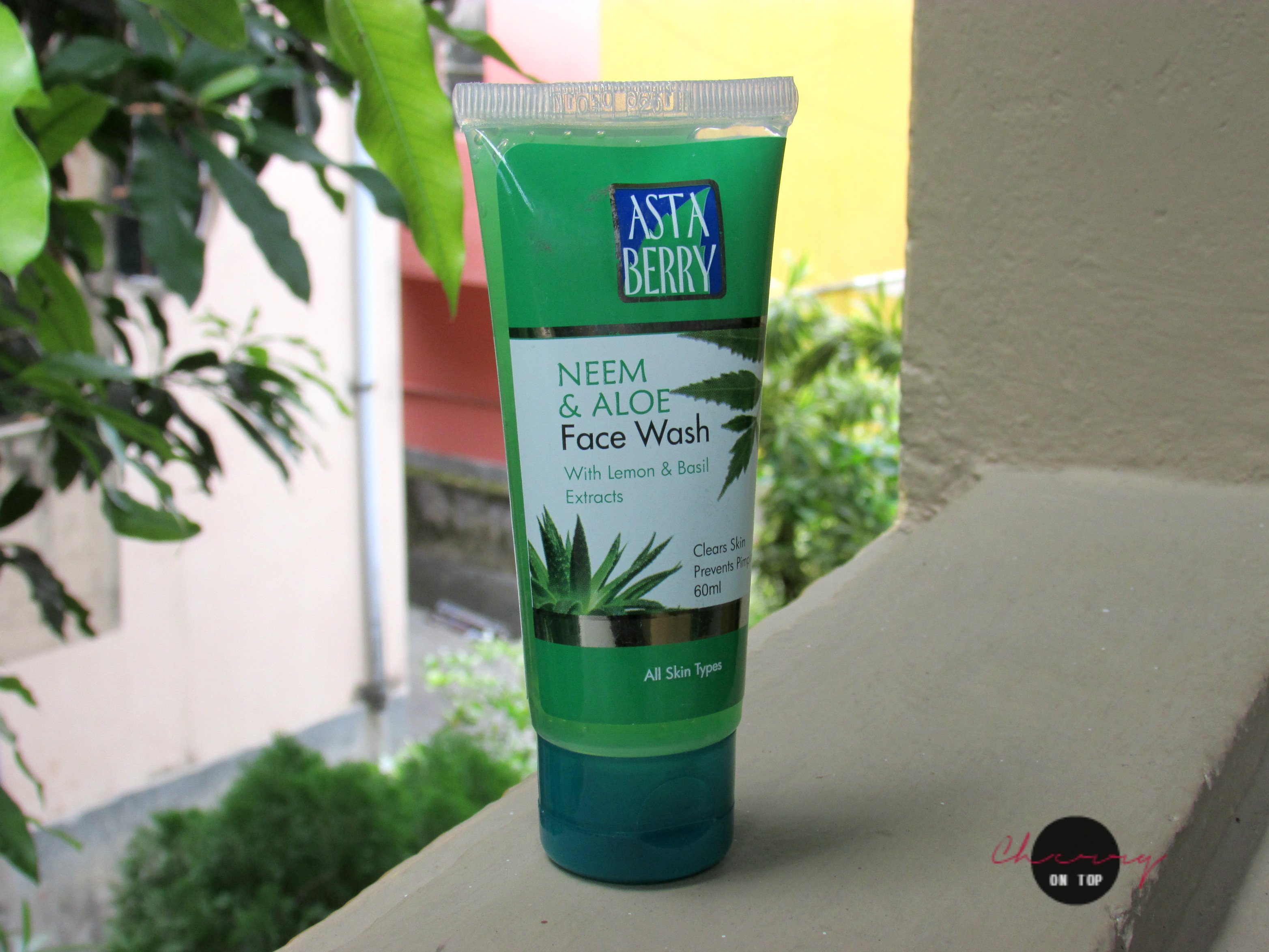 Astaberry Neem & Aloe Face Wash Review | Cherry On Top