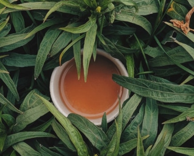 cropped-tea-tree-oil-for-glowing-skin.jpg
