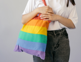 everyday daily use tote bag for women to carry on a weekend away/ rainbow tote bag/ Dior tote bag