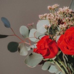 Vase of red roses for valentine's day