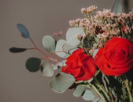 Vase of red roses for valentine's day