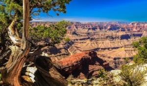 Grand Canion Arizona