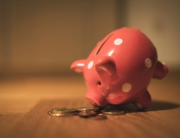 piggy bank savings