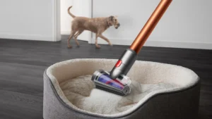 Dyson V15 Detect Best Vacuum Cleaner for Home that are small