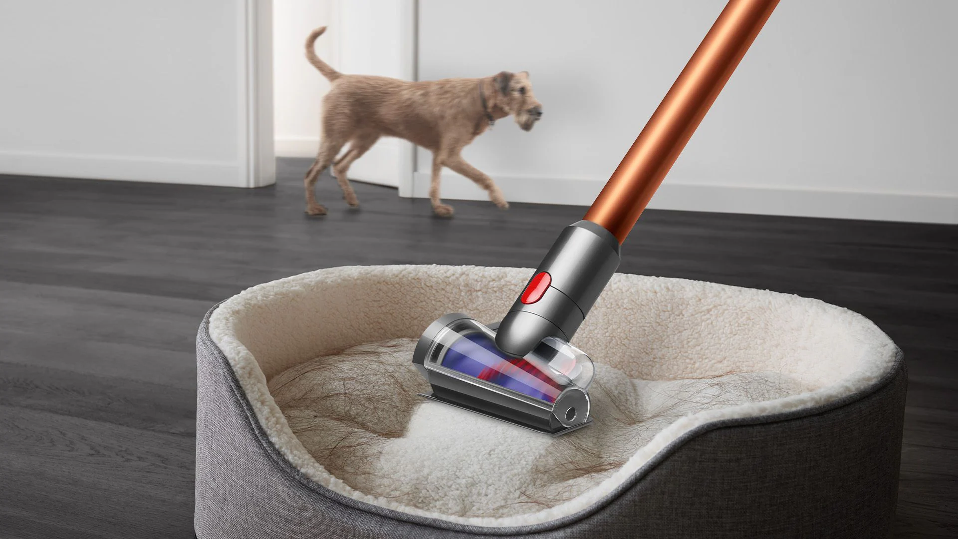 Dyson V15 Detect Best Vacuum Cleaner for Home that are small