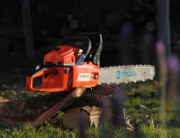 Electric saw for cutting outdoors