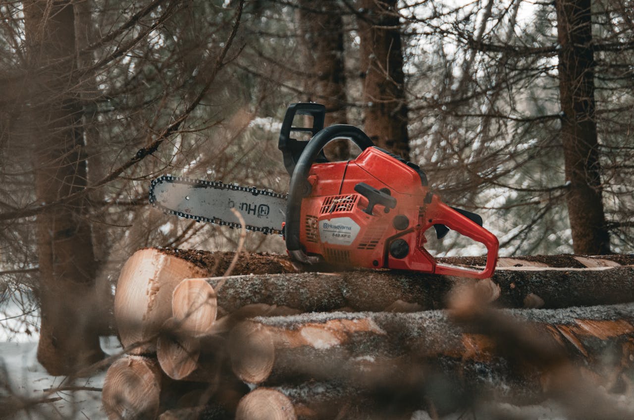 Electric saw for cutting outdoors